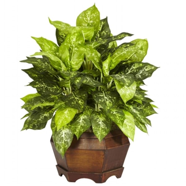 Nearly Natural Variegated Dieffenbachia with Large Hexagon Silk Plant 6709 - main